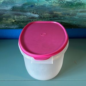 Tupperware Poultry/Turkey Saver like new